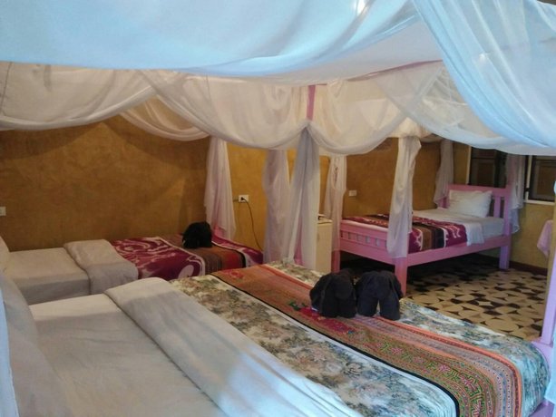 Orchid Hibiscus Guest House