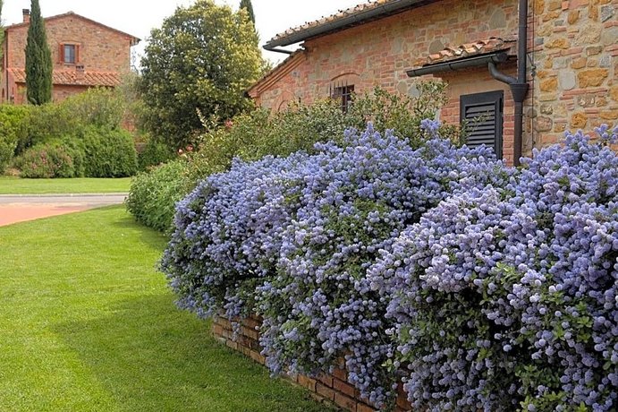 Le Colline Montaione