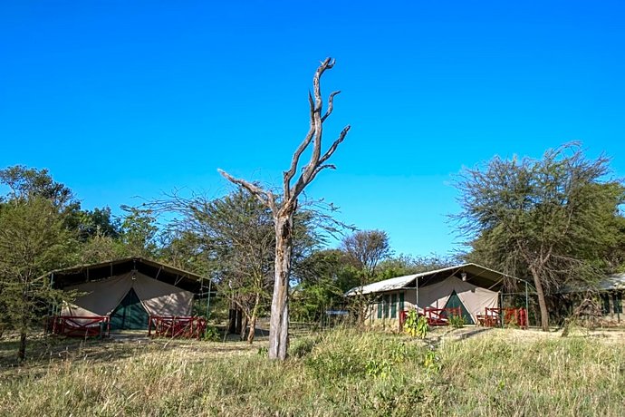 Mbuzi Mawe Serena Camp