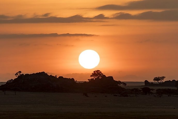 Melia Serengeti Lodge