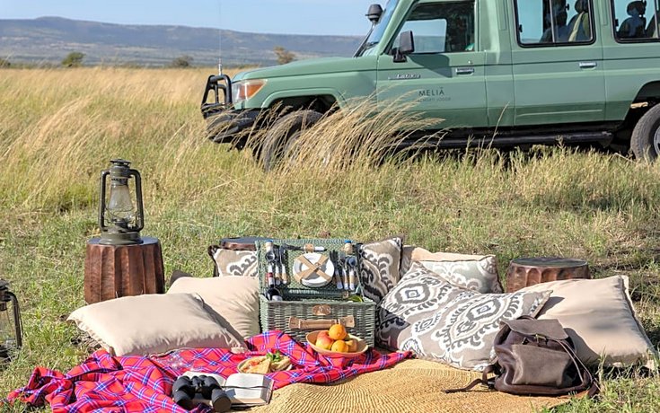 Melia Serengeti Lodge
