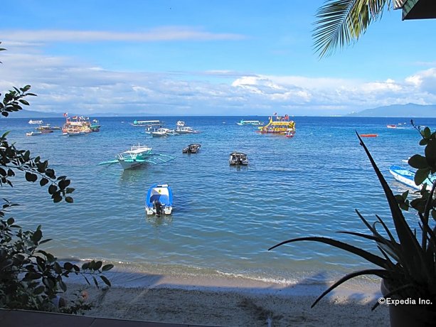 Captngreggs Dive Resort