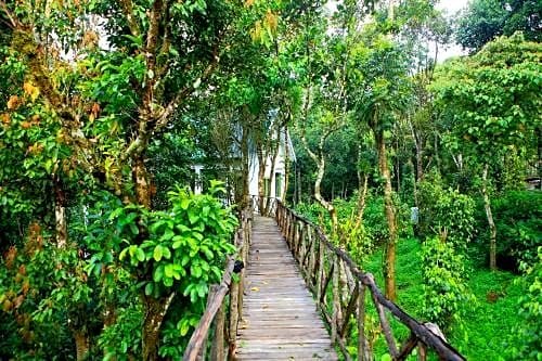 Aanavilasam Luxury Plantation House Kumily