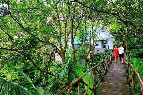 Aanavilasam Luxury Plantation House Kumily