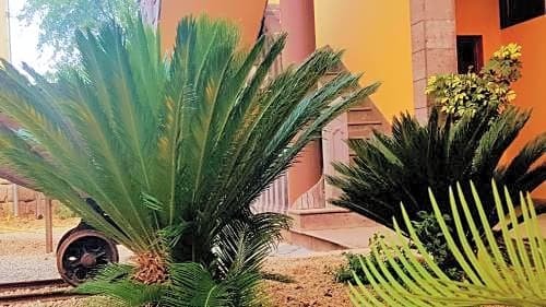 Hotel El Tejar