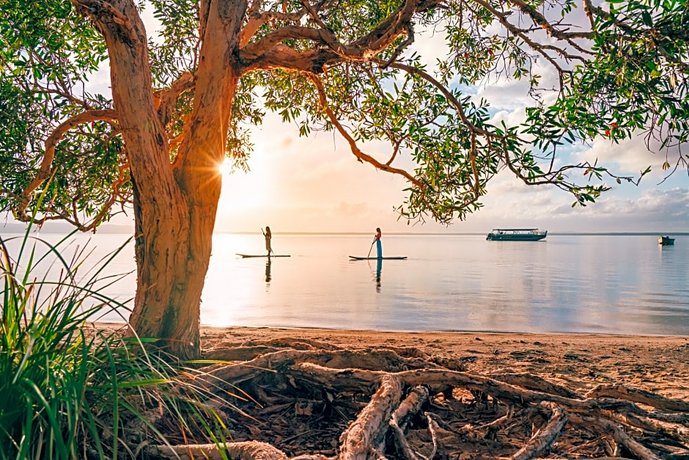 Habitat Noosa