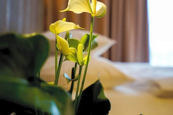 AMEDIA Hotel Linz