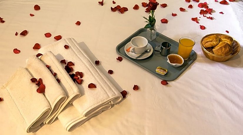 Hotel Toulousain