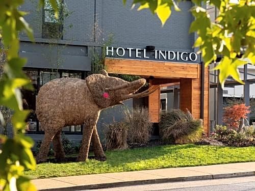 Hotel Indigo - Chattanooga - Downtown