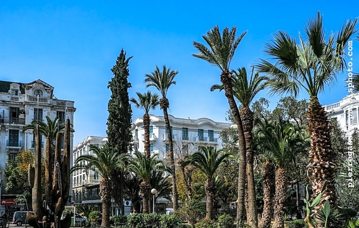 Majestic Hotel Tunis