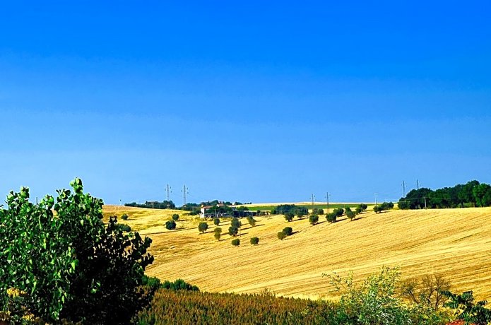 Hotel La Torre Maiolati Spontini