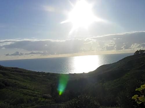 L'Agave e la Palma Nana