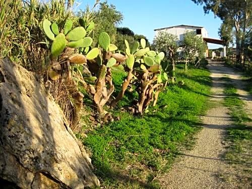 L'Agave e la Palma Nana