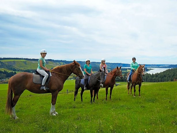 Terrace Downs Resort