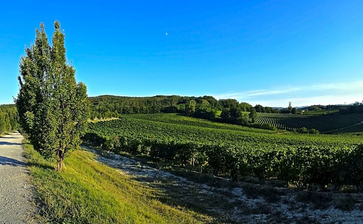 Agriturismo La Meirana