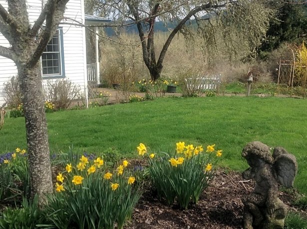 Blue Rooster Inn