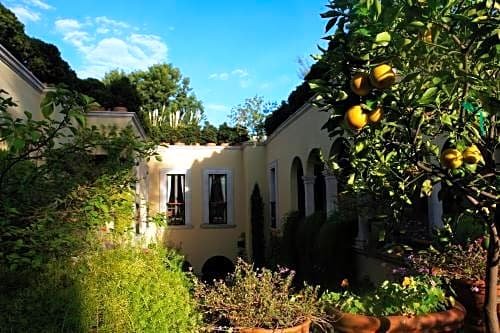 Casa Misha