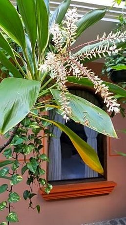 Hotel Posada San Jeronimo