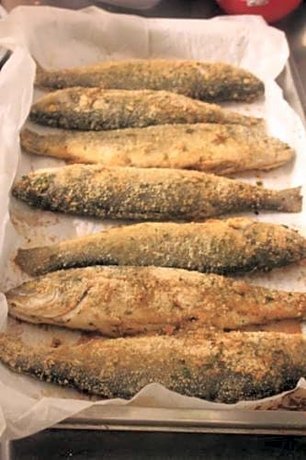 Hotel Marconi Miramare