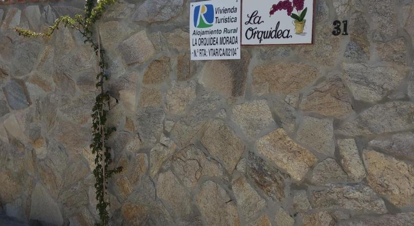 La orquidea morada