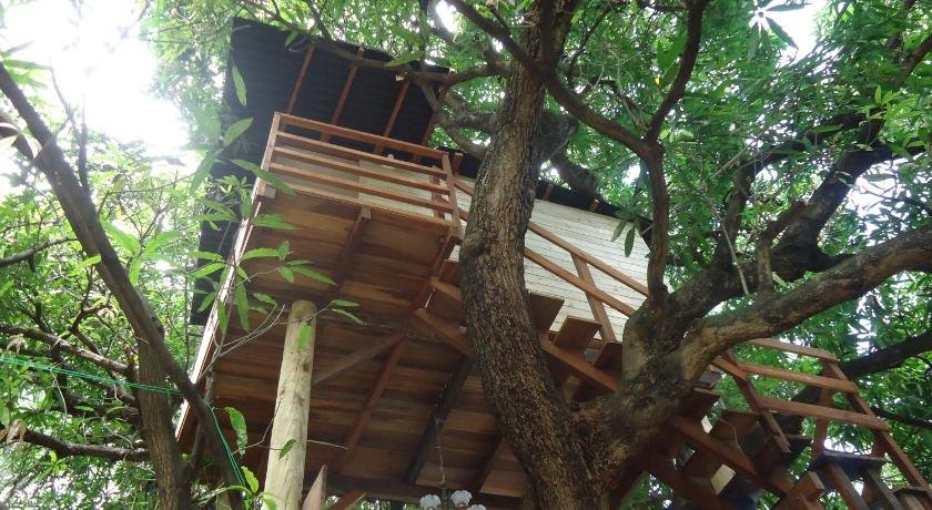 Casa na Arvore Salvador