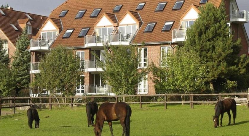 Appartement 38 - Seeschwalbe