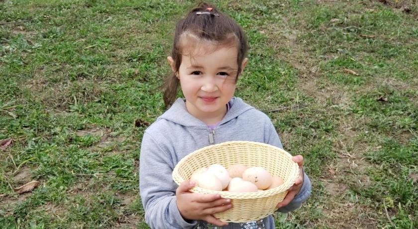 Life on the farm