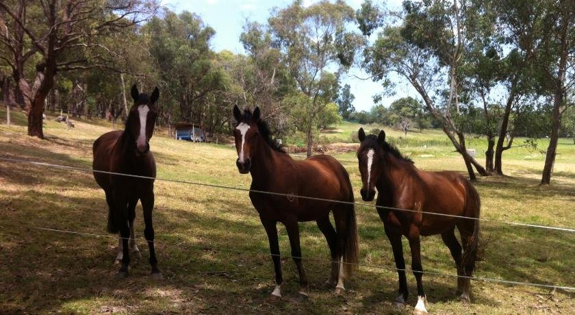 Avoca Park