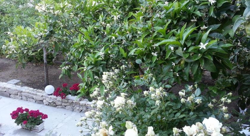 Maga' Housegarden