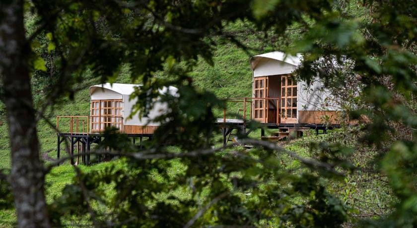 Birdglamping Aviturismo Los Arboles Glamping Hotel