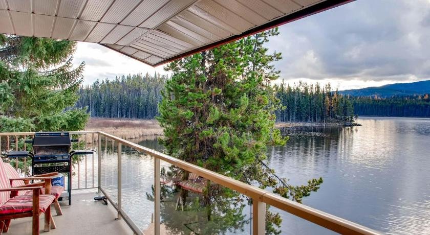 Minnow & Waterlily Suites