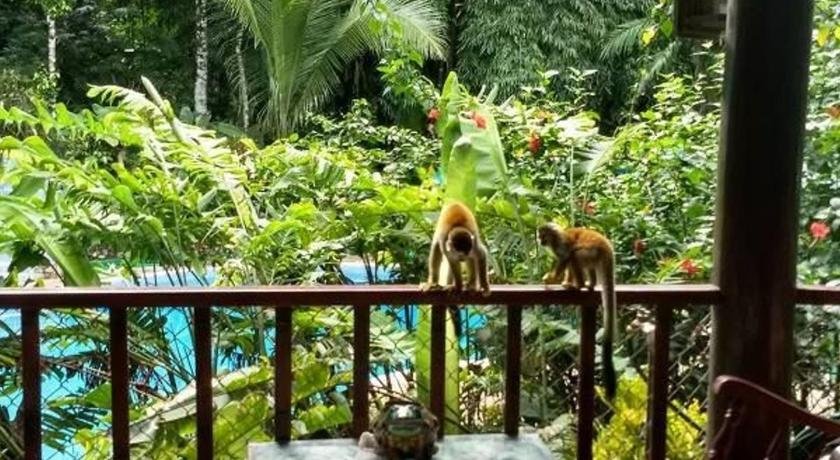 Manuel Antonio Park House
