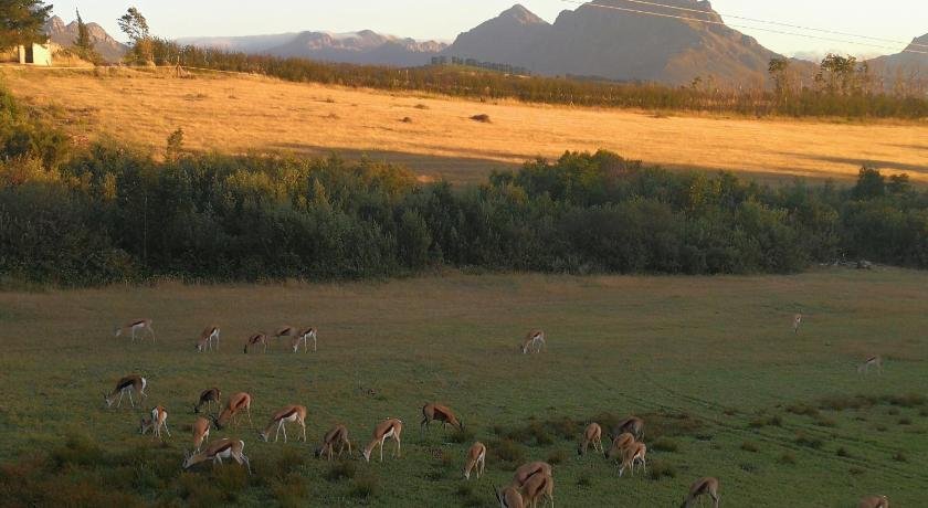 Wildlife Retreat on a Wine-Farm