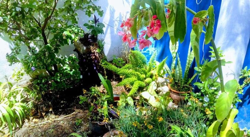 RAIZ DEL CIELO entre 2 jardines de ensueno