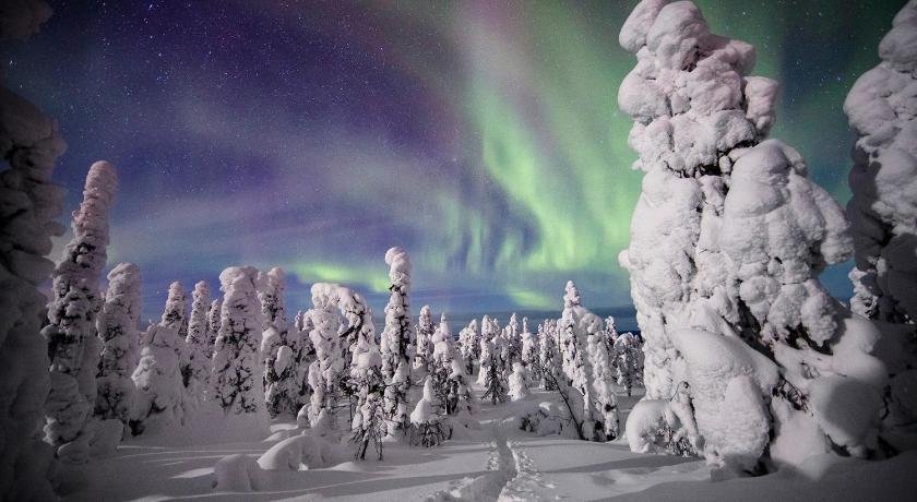 Lapland Lodge Pyha free wifi sauna ski in - ski out