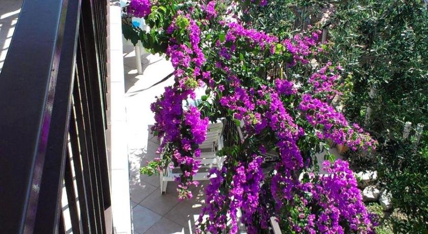 Apartman Katja Okrug Gornji