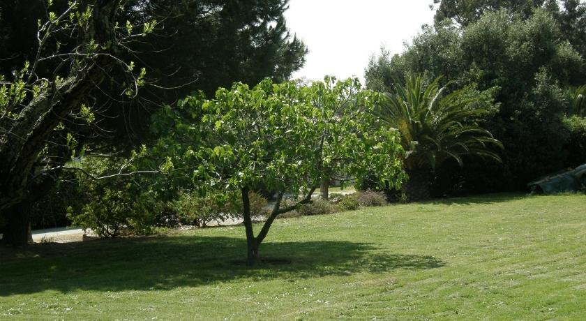 Villa Pieds dans l'eau plage privee