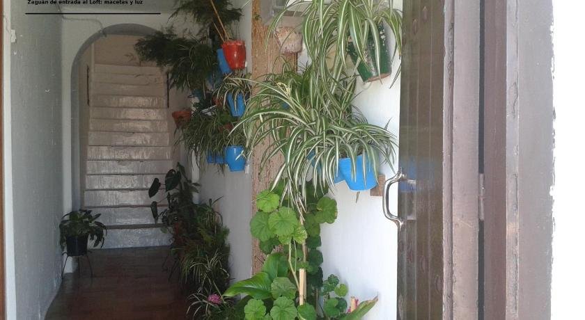 Loft de la Morena