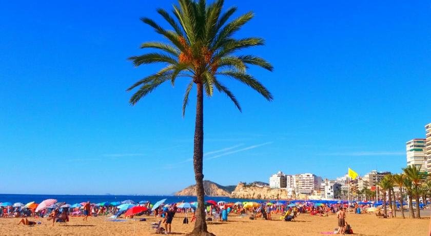First line Apartment Benidorm