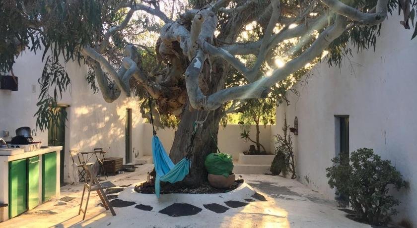 Patio II studio at finca