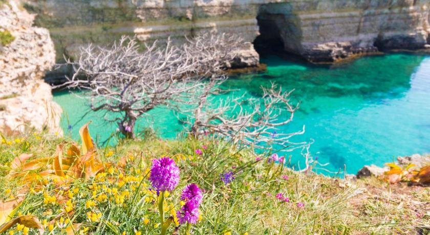 Casa vacanze Frida in Salento