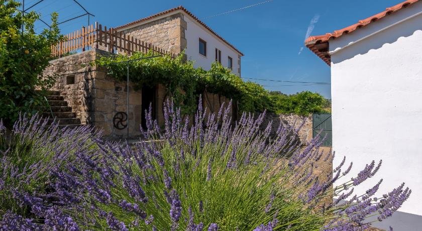 Quinta Do Acipreste Antiga Quinta Da Torre