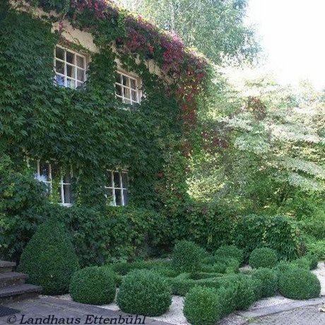 Landhaus Ettenbuhl Bed and Breakfast