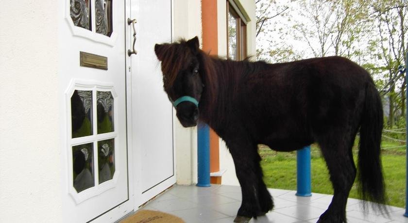 Pferd