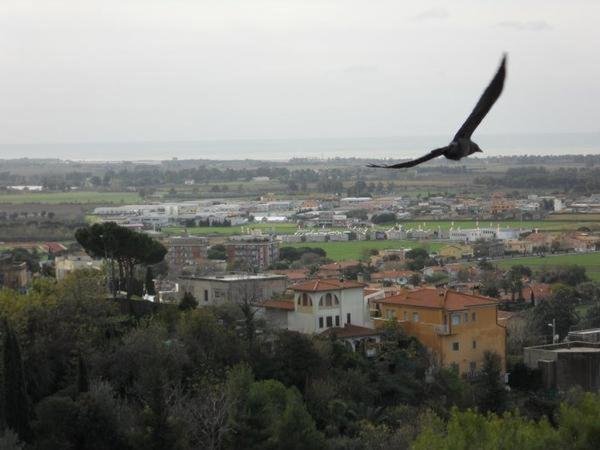 Al Castello