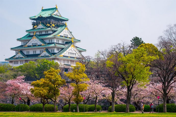 Color Tsuruhashi