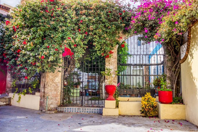 OYO Hotel Posada Bugambilias