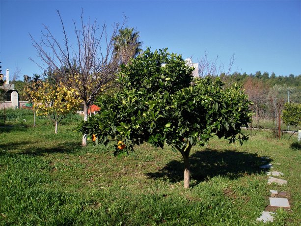 Casa Verde Kos Island