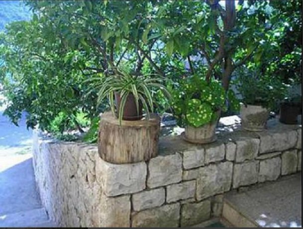 Apts & rooms Frano - 50m from beach
