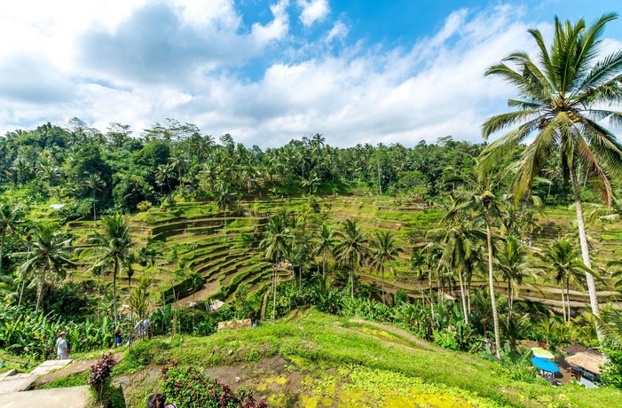 Ubud A Priori Villa